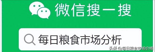 2024年12月2日玉米价格走势及分析